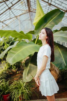 中日韩好看的电影推荐