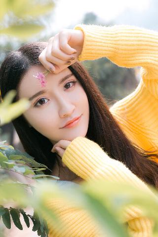 陆贞传奇电视剧在线观看免费全集